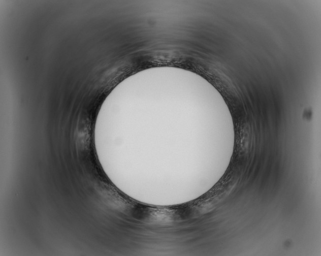 X0000099550226200806061524