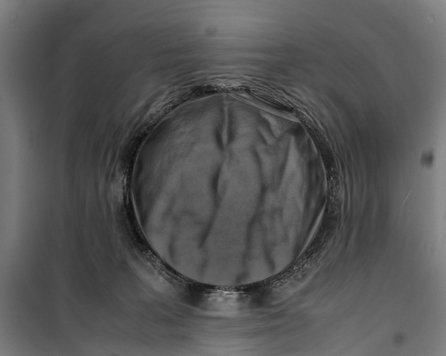 X0000099550227200806061524