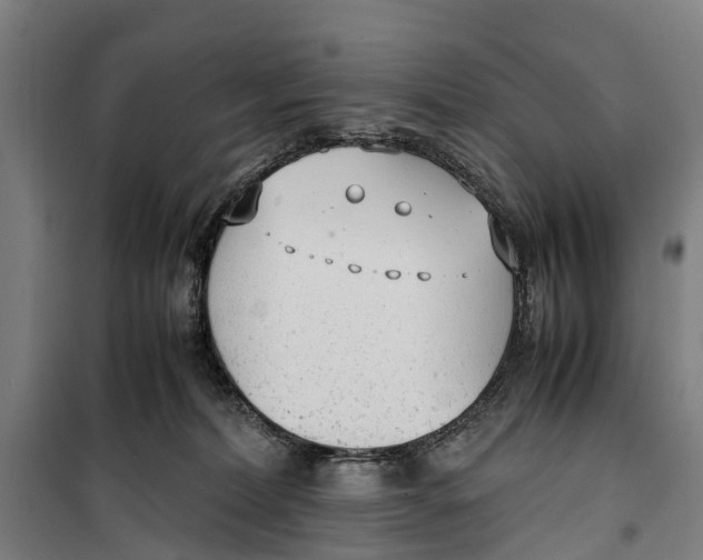 X0000099550228200806061524