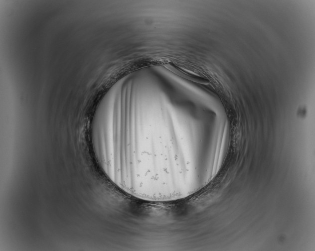 X0000099550229200806061524