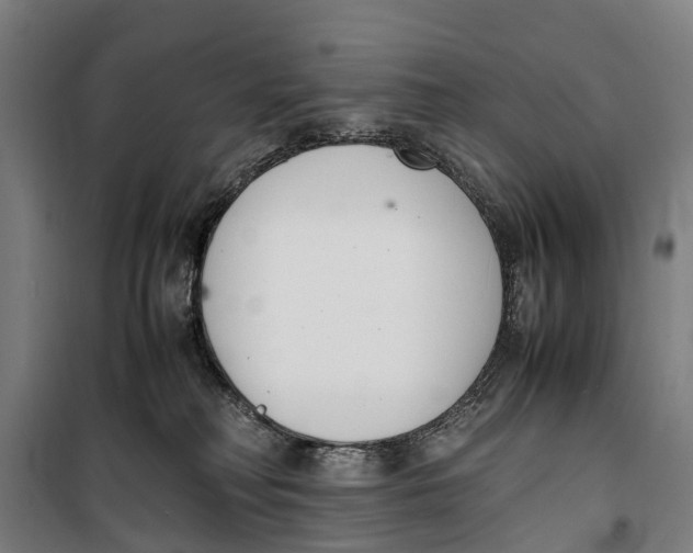 X0000099550230200806061524