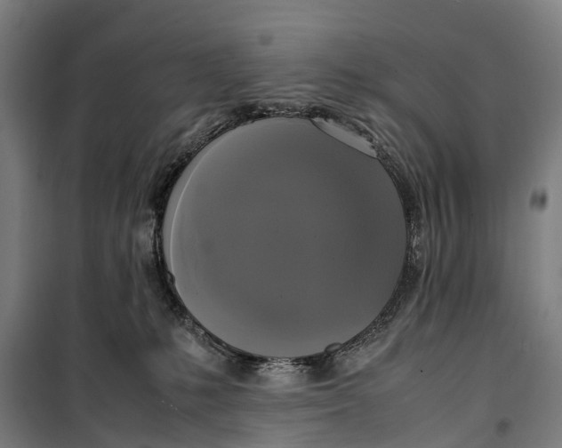 X0000099550231200806061524