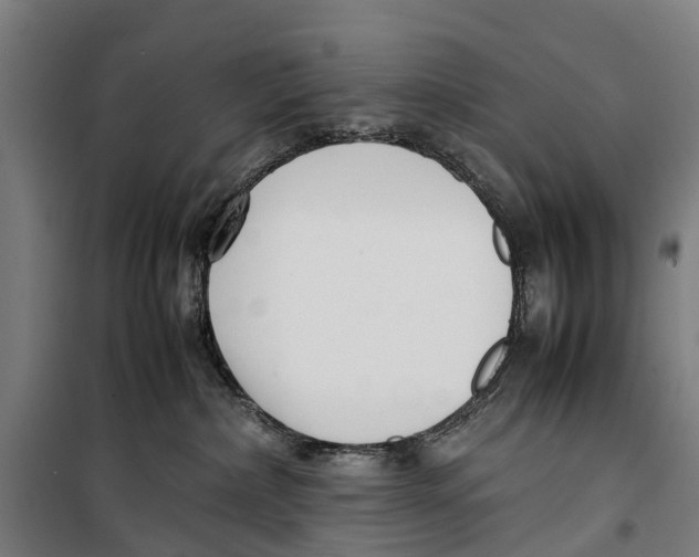 X0000099550236200806061524