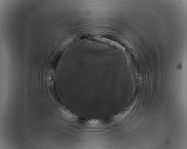 X0000099550237200806061524