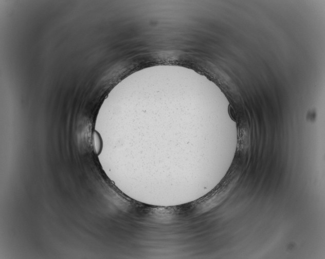 X0000099550238200806061524