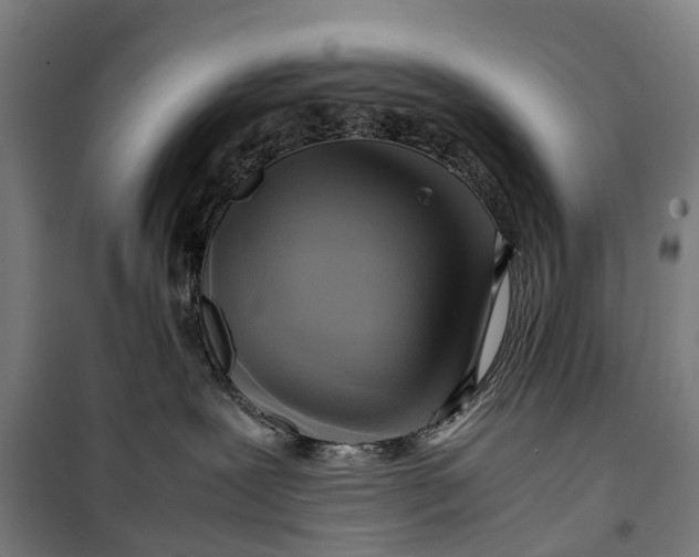 X0000099550239200806061524