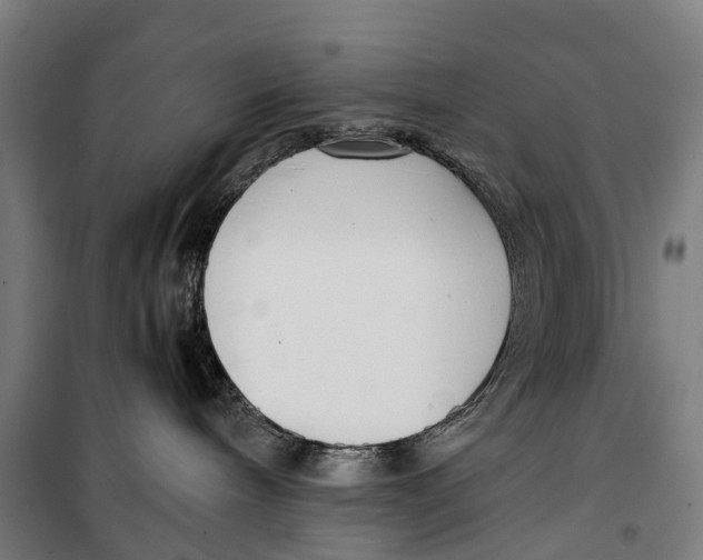 X0000099550240200806061524