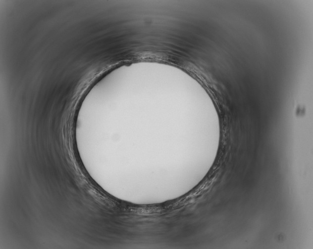 X0000099550241200806061523