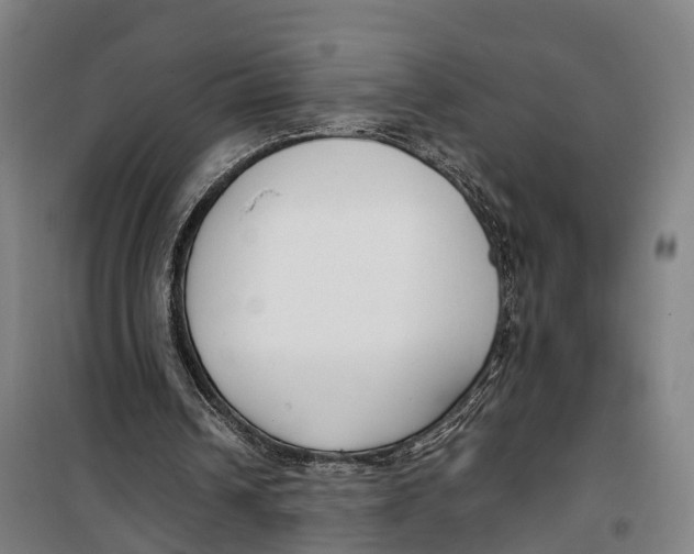 X0000099550242200806061523