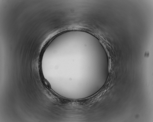 X0000099550244200806061523