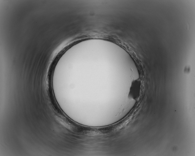 X0000099550246200806061523