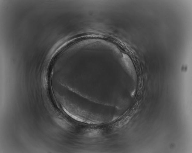 X0000099550247200806061523