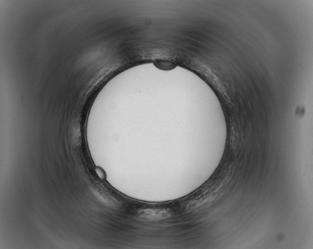 X0000099550251200806061523