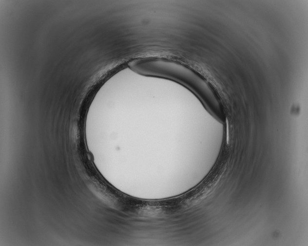 X0000099550252200806061523