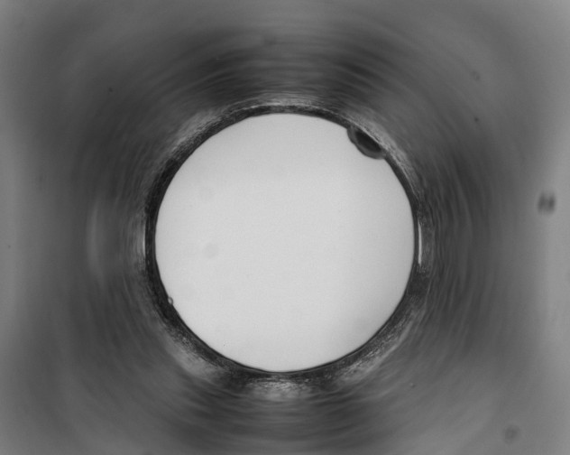 X0000099550253200806061523