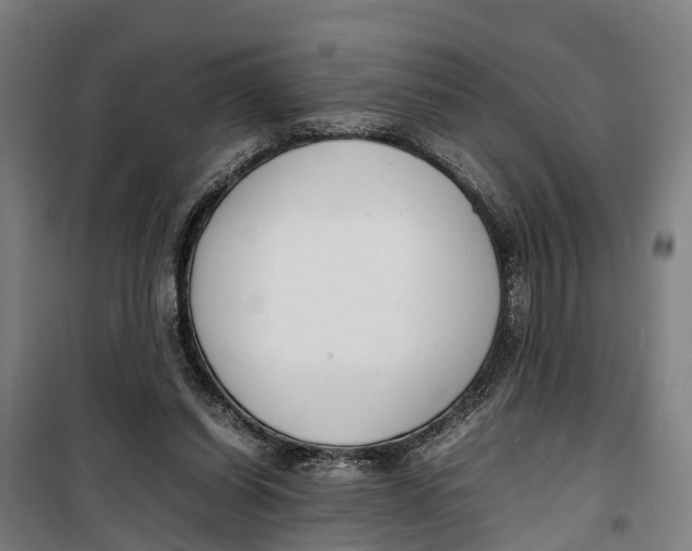 X0000099550254200806061523