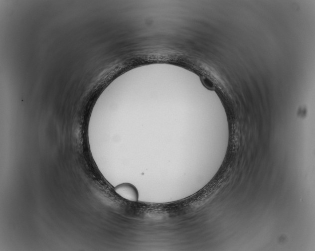 X0000099550258200806061523