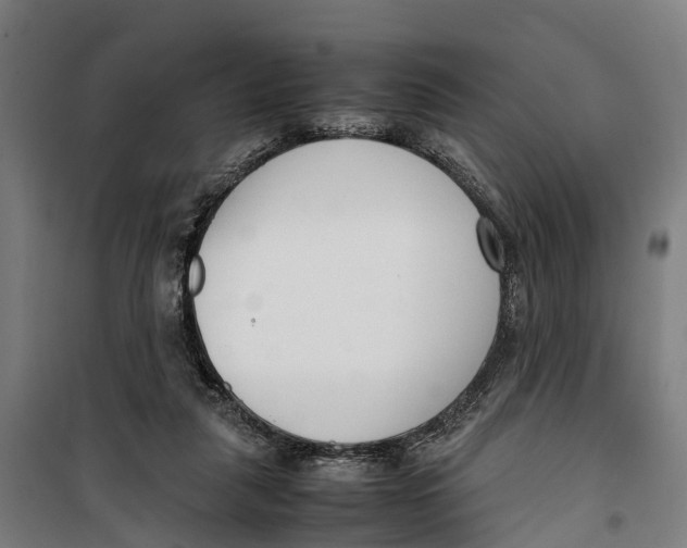 X0000099550259200806061523