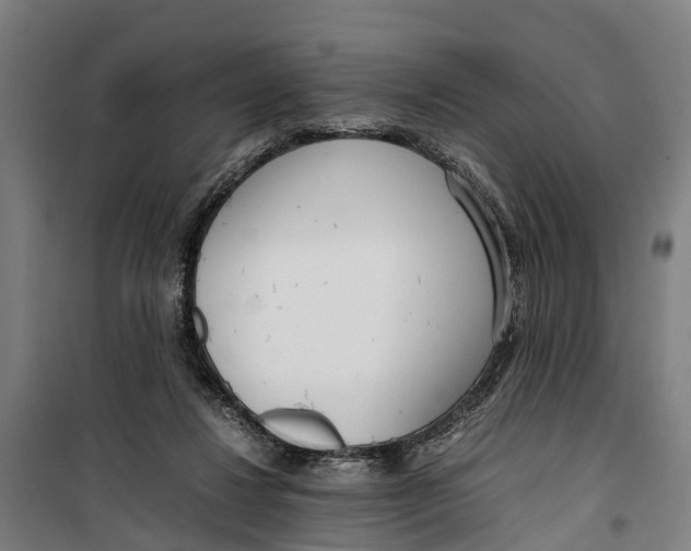 X0000099550260200806061523