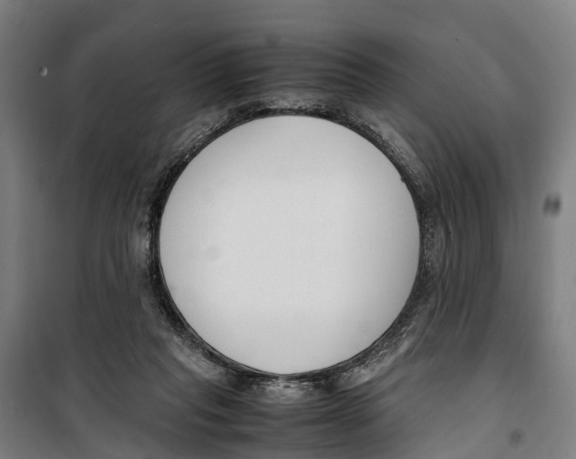 X0000099550261200806061523