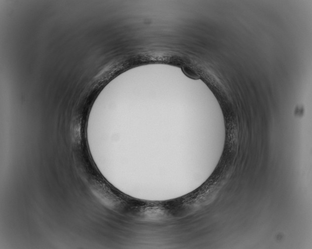 X0000099550262200806061523