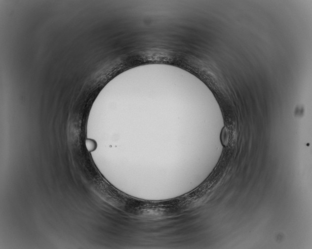 X0000099550263200806061523