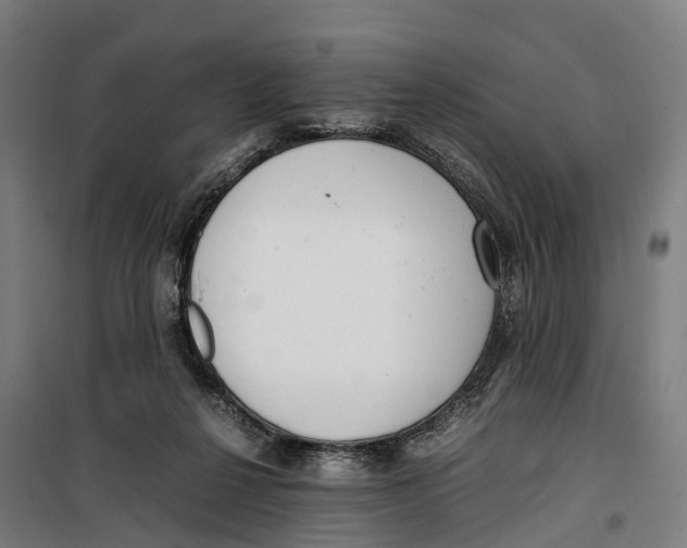 X0000099550264200806061523