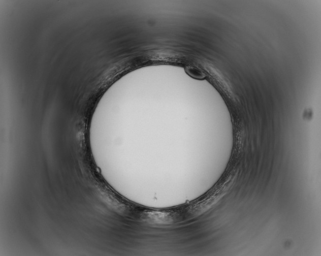 X0000099550265200806061523