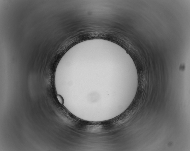 X0000099550266200806061524