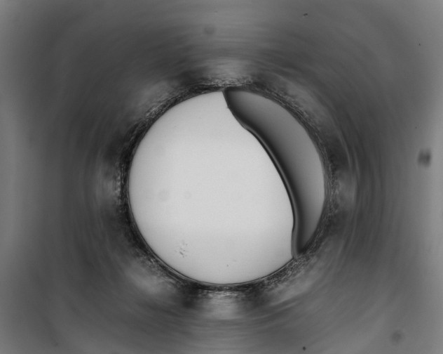 X0000099550268200806061524