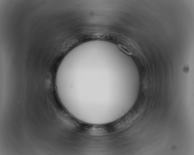 X0000099550270200806061524