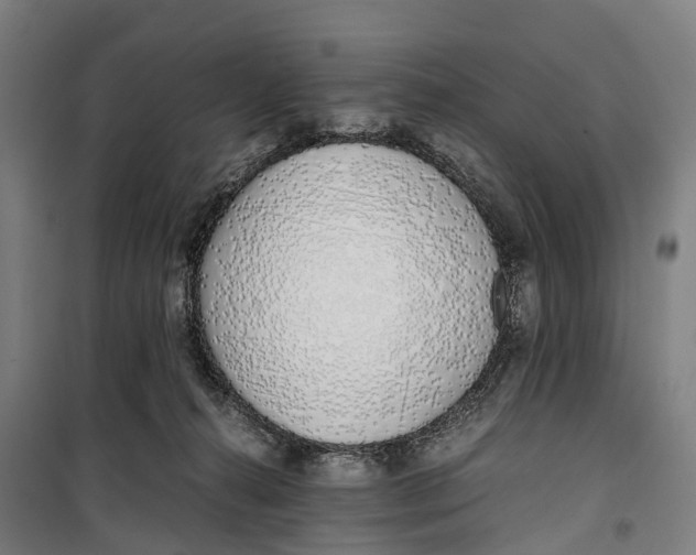 X0000099550272200806061524