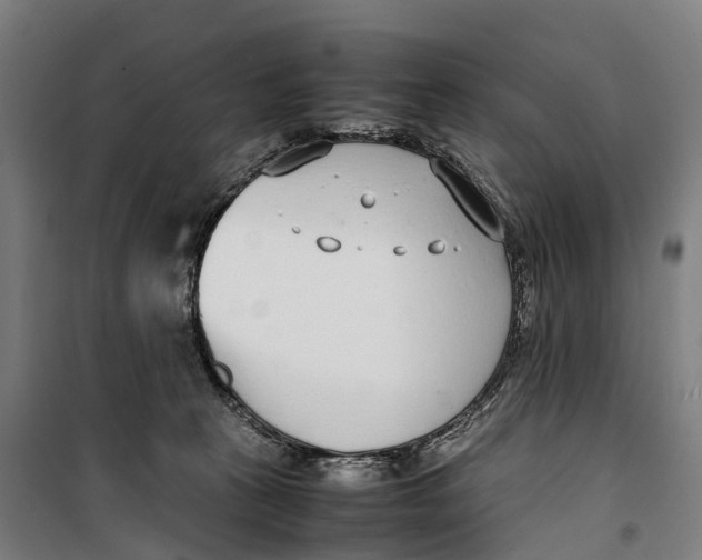 X0000099550273200806061524