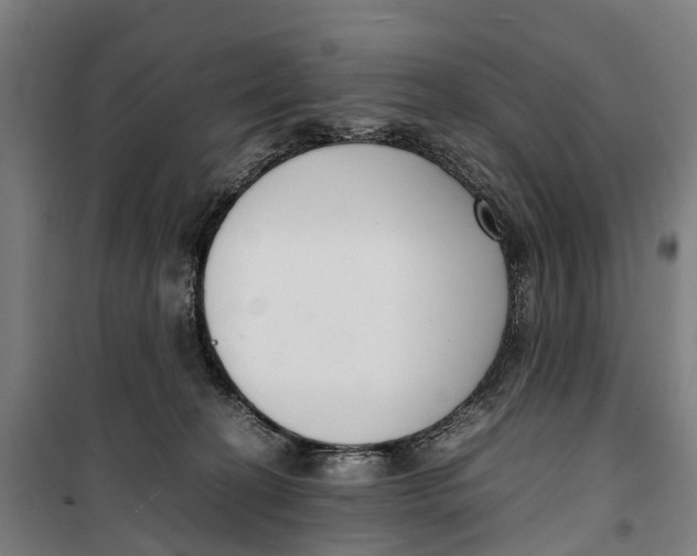 X0000099550274200806061524