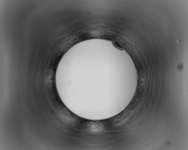 X0000099550275200806061524