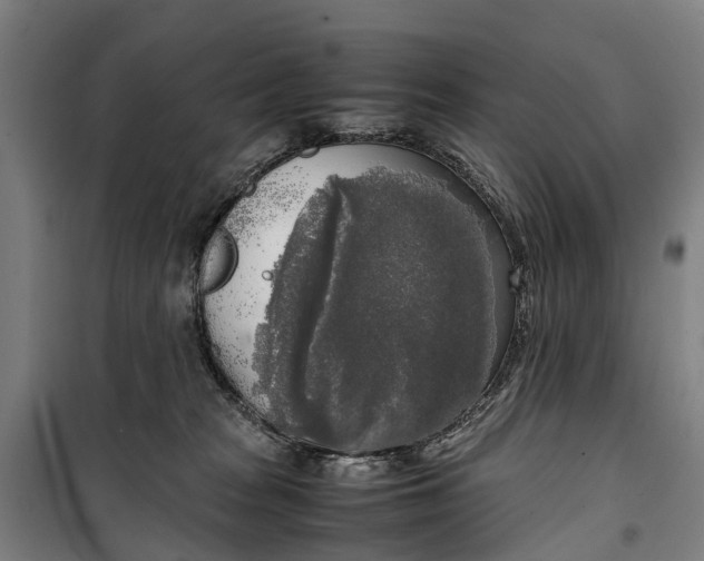 X0000099550277200806061524