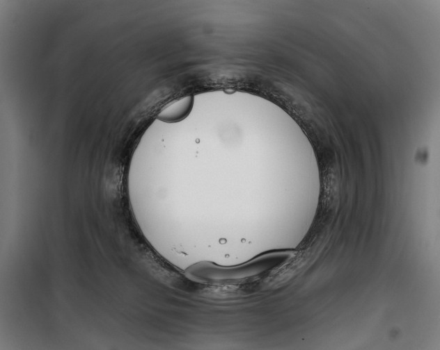 X0000099550278200806061524