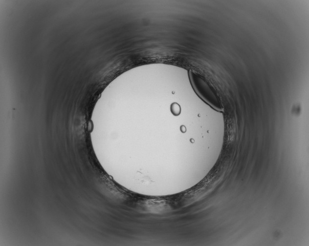 X0000099550279200806061524