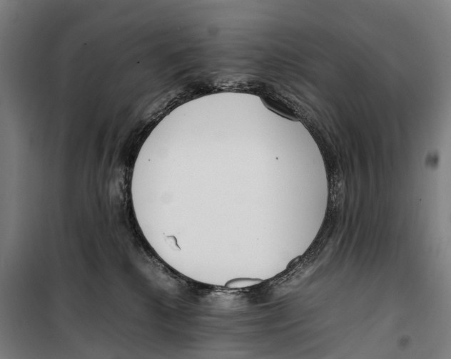 X0000099550280200806061524