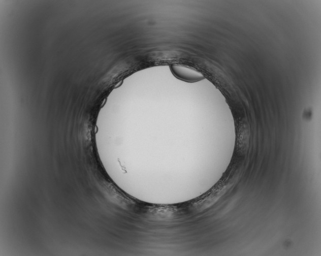 X0000099550282200806061524