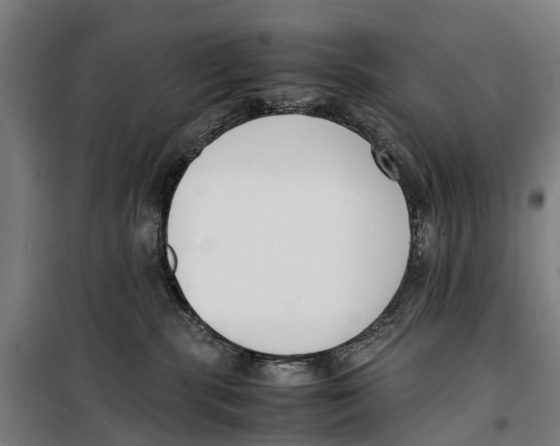 X0000099550283200806061524