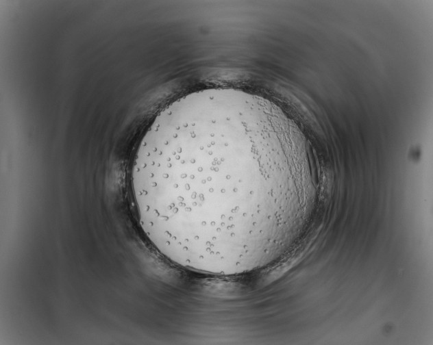 X0000099550284200806061524