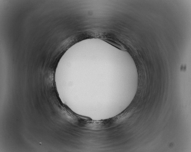 X0000099550288200806061524