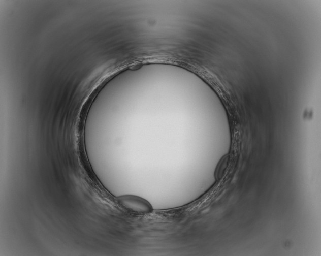 X0000099550290200806061523