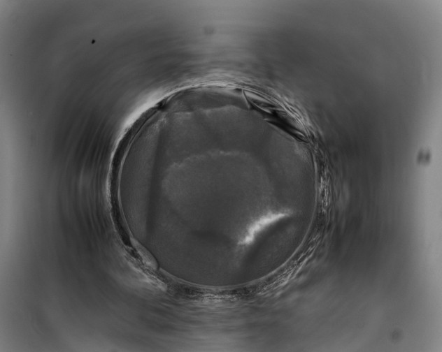 X0000099550292200806061523