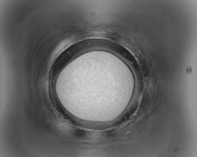 X0000099550293200806061523