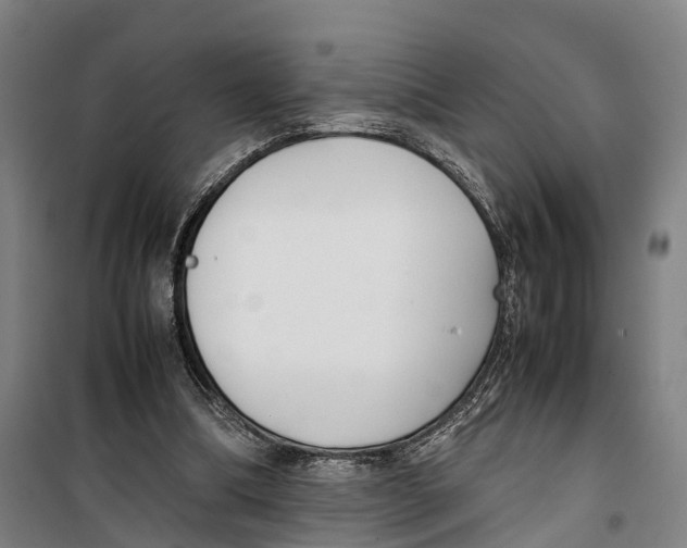 X0000099550298200806061523