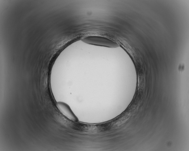 X0000099550301200806061523