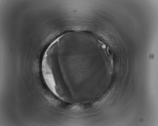 X0000099550303200806061523