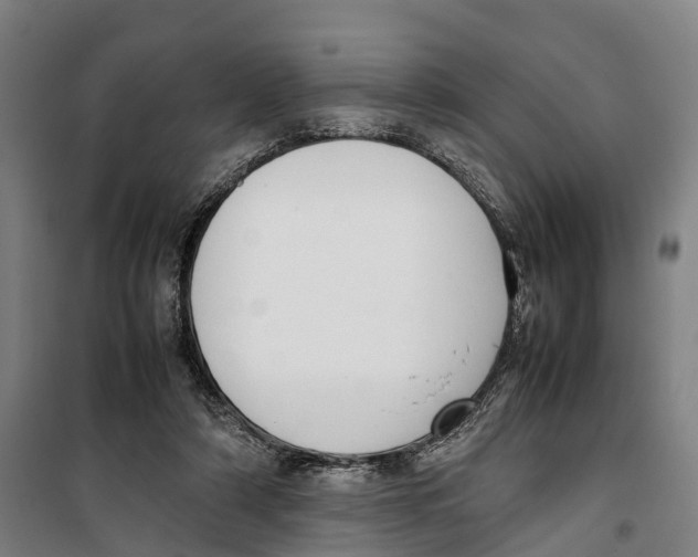 X0000099550306200806061523